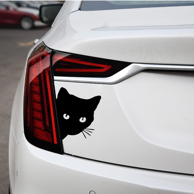 Car interior stickers black/wh - Interior Design Intern recensie en prijs