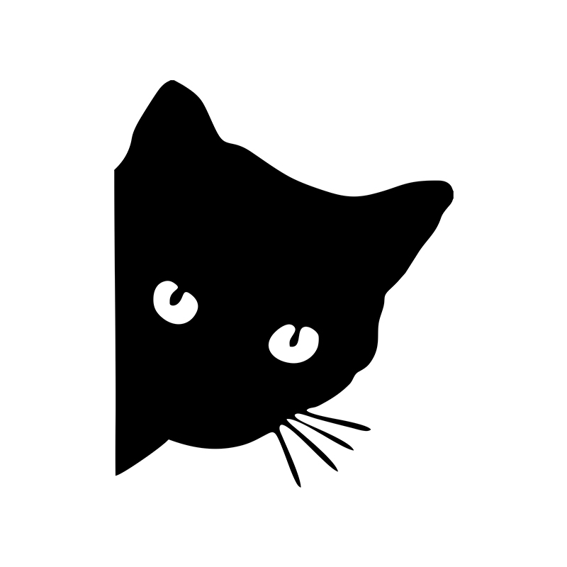 Car interior stickers black/wh - Interior Design Intern recensie en prijs
