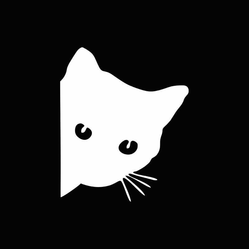 Car interior stickers black/wh - Interior Design Intern recensie en prijs