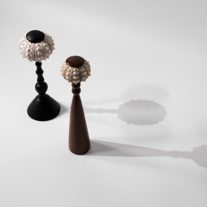 Creative Conch Sculpture Handc - Interior Design Exhibition recensie en prijs