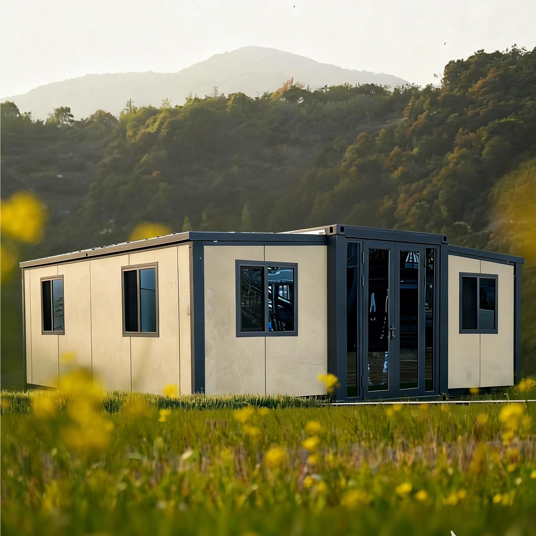 20FT 40FT Double Wing Expandab - Interior Design Luxury House recensie en prijs